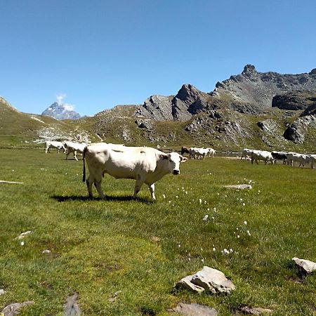 Agriturismo Ciambun Сампейре Екстериор снимка