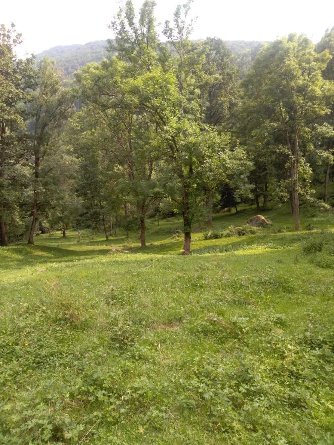 Agriturismo Ciambun Сампейре Екстериор снимка